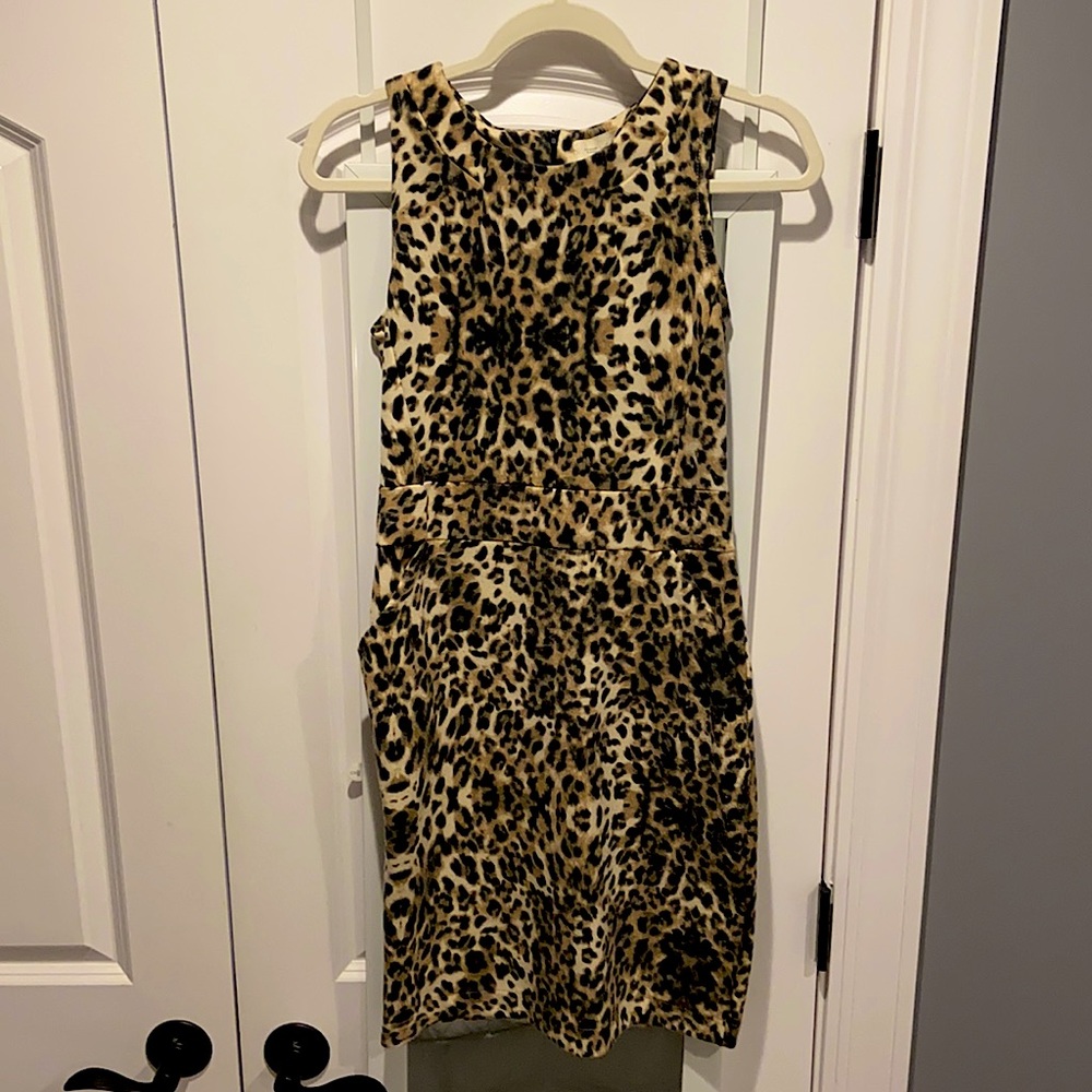 Zara dress